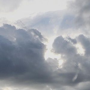 Meet your Posher, Joel